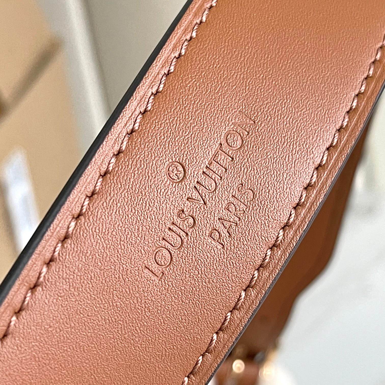 Louis Vuitton LV Ski CarryAll Small Handbag - Image 7