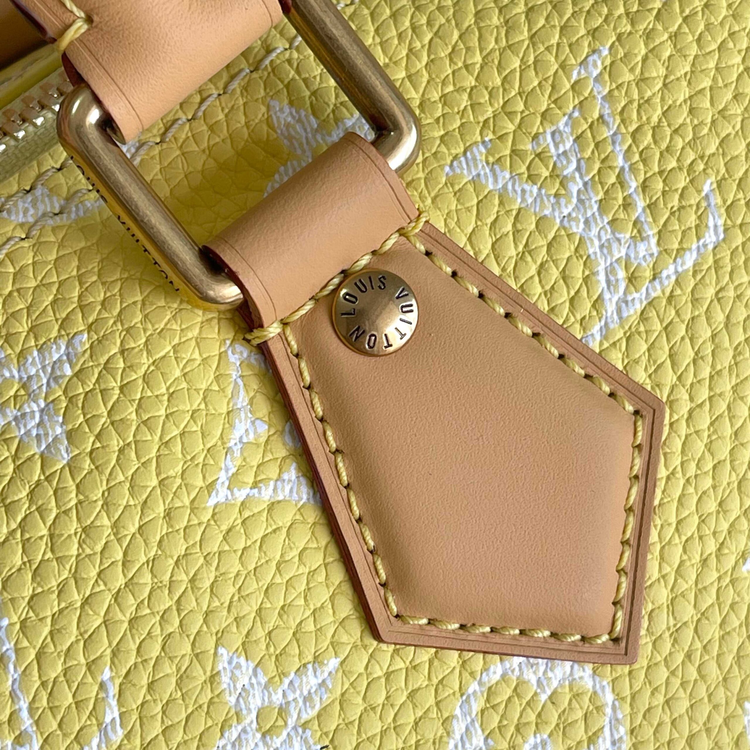 Speedy P9 Bandoulière 25 Monogram Leather Handbag - Image 7