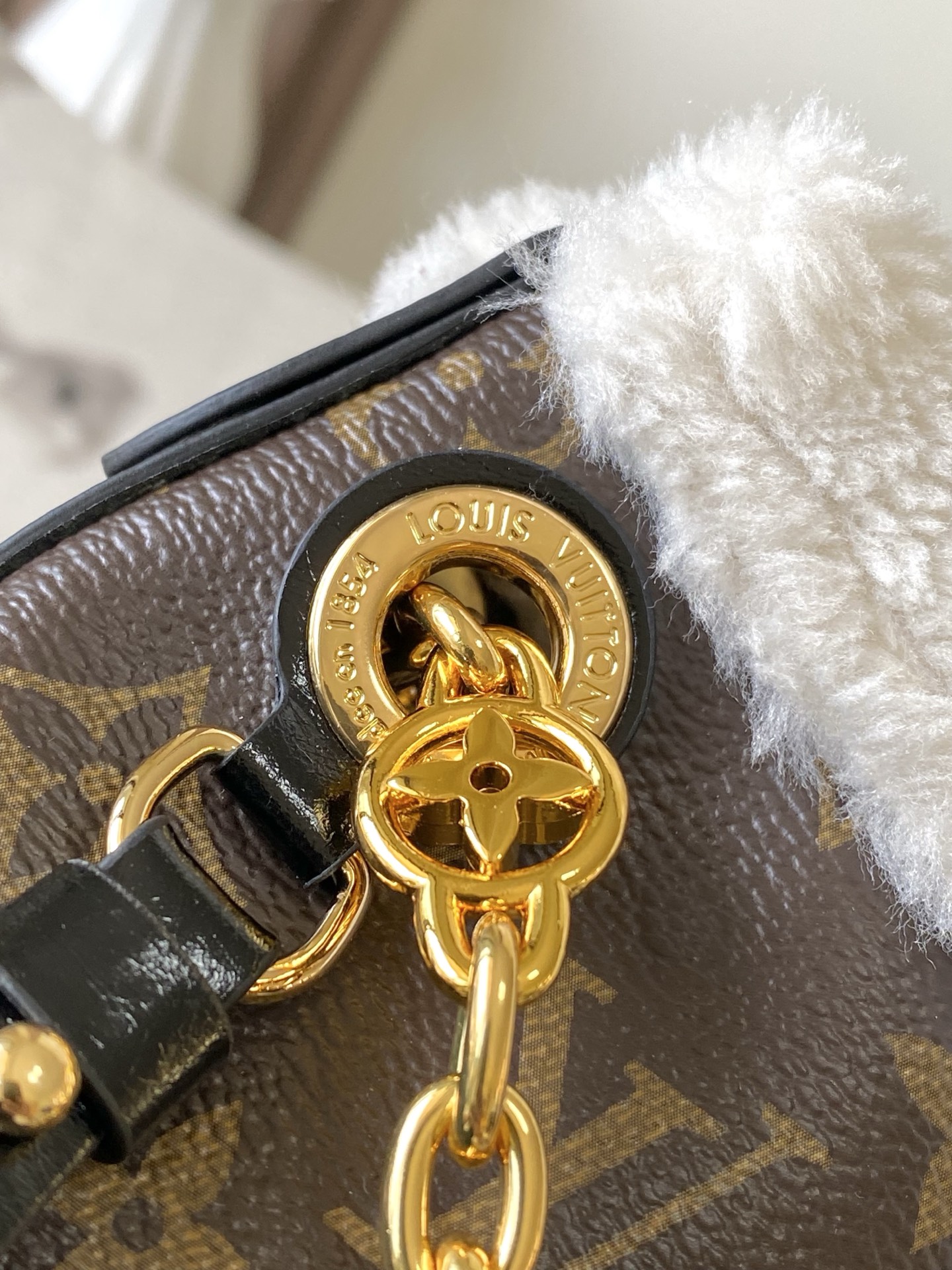 CarryAll BB Monogram Canvas Handbag - Image 7