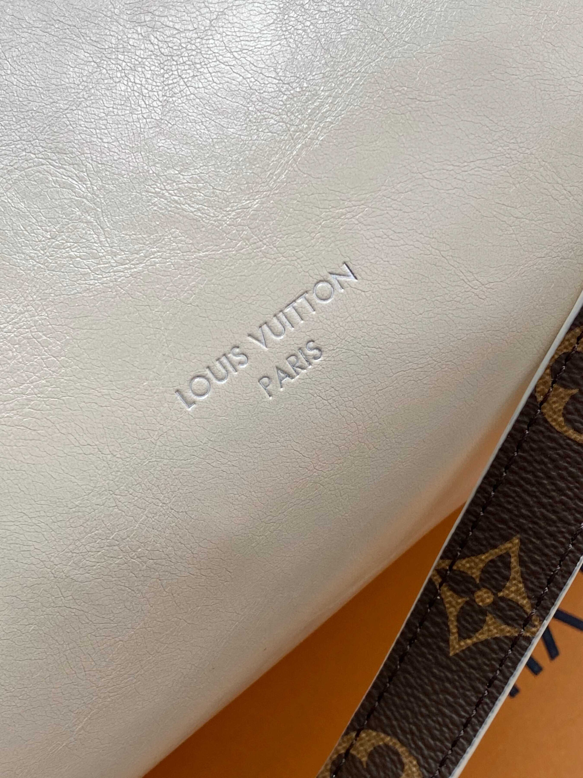 Louis Vuitton Speedy Cargo Handbag, LV Vibe Series - Image 7