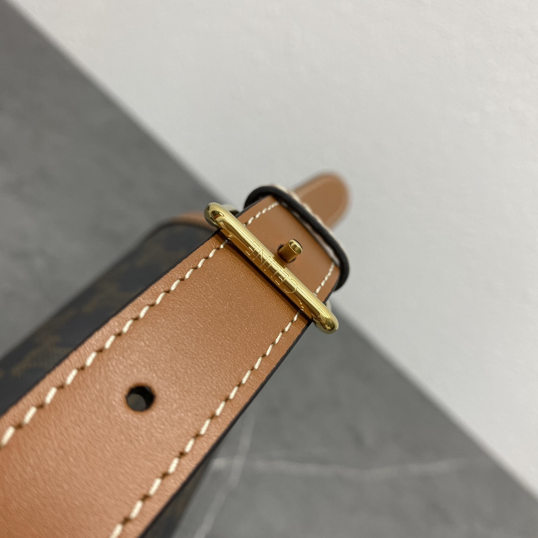 Celine Triomphe Limited-Edition Crossbody Bag - Image 7