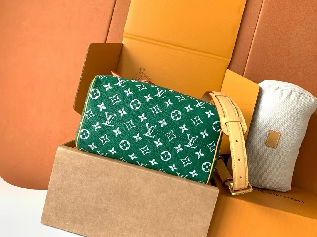 Speedy Bandoulière 25 Monogram Leather Handbag - Image 8