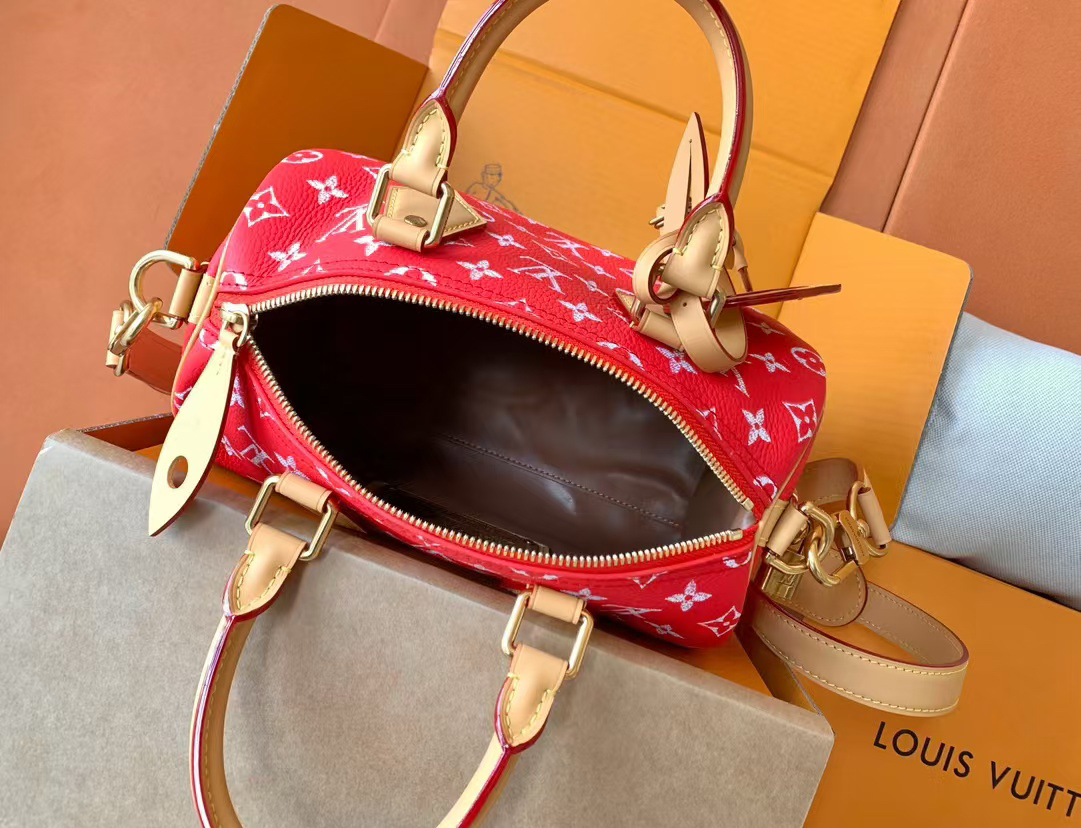 Louis Vuitton Speedy Bandouliere 25 Monogram Leather Bag - Image 8