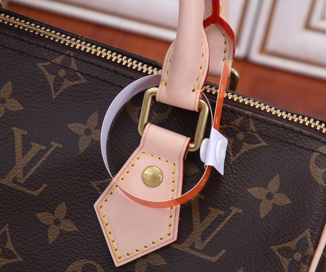 Louis Vuitton Speedy 25 Monogram Handbag - Image 8