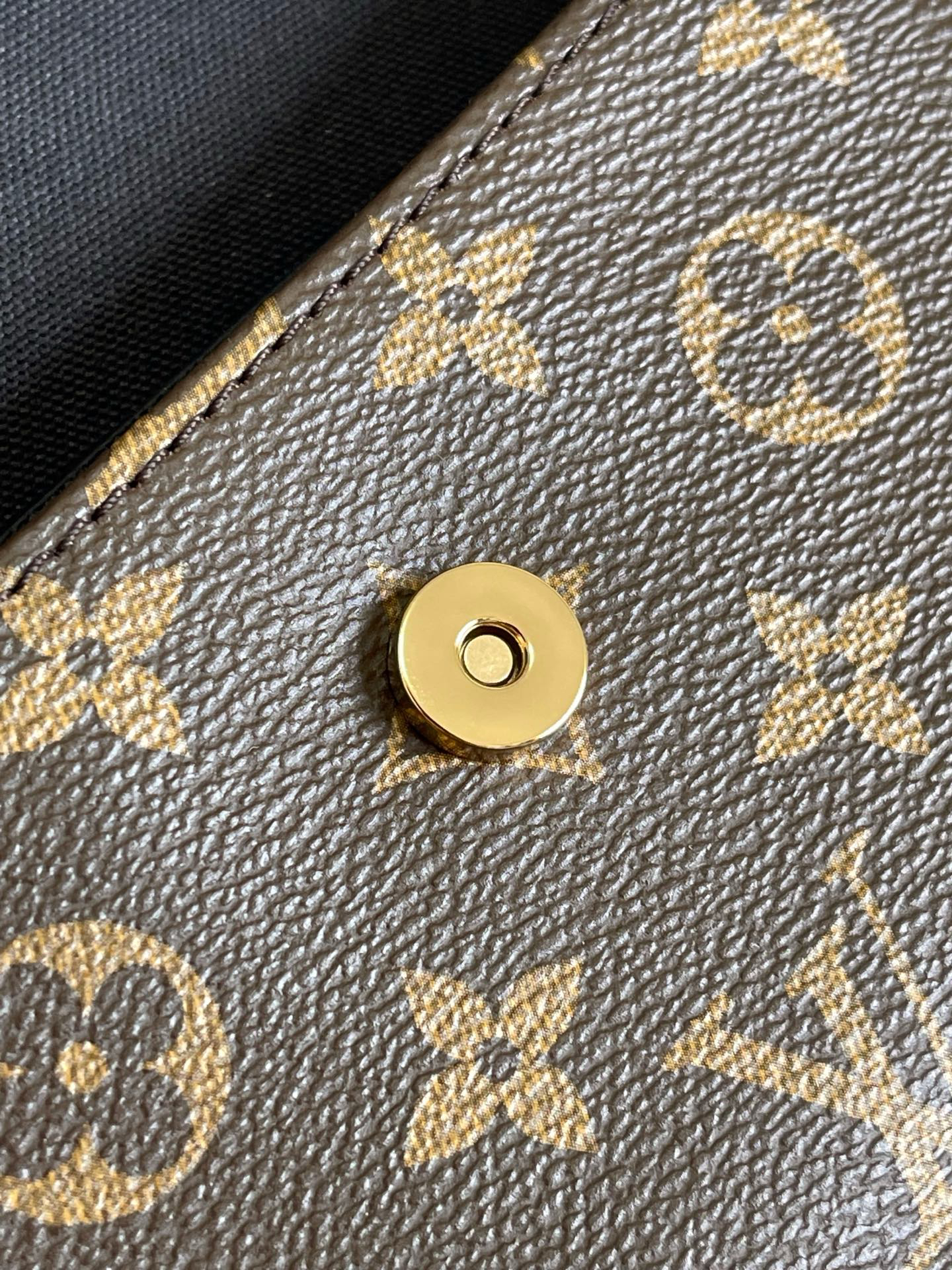Louis Vuitton Wallet On Chain Ivy Crossbody Bag in Monogram Reverse Canvas - Image 8