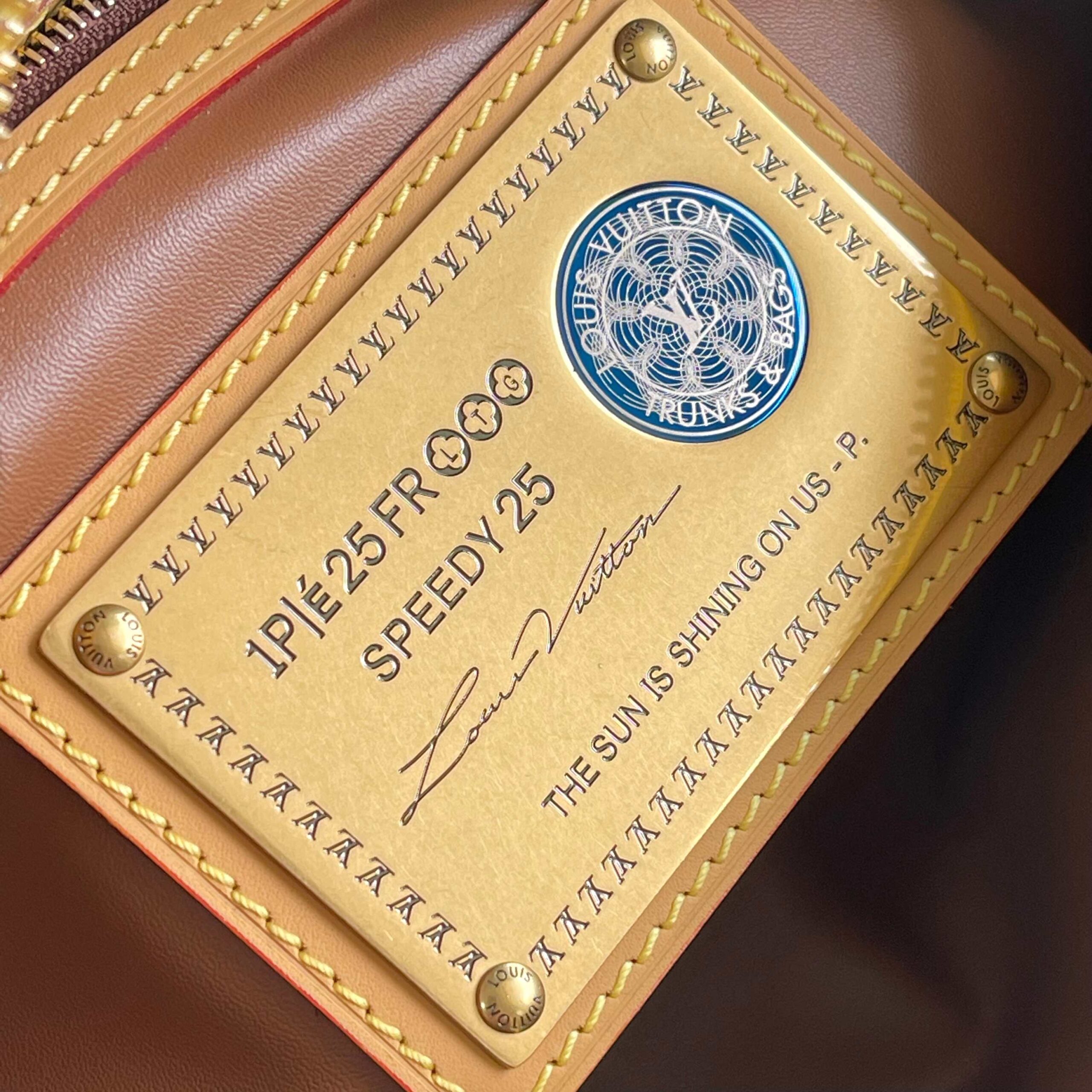 Speedy P9 Bandoulière 25 Monogram Leather Handbag - Image 8
