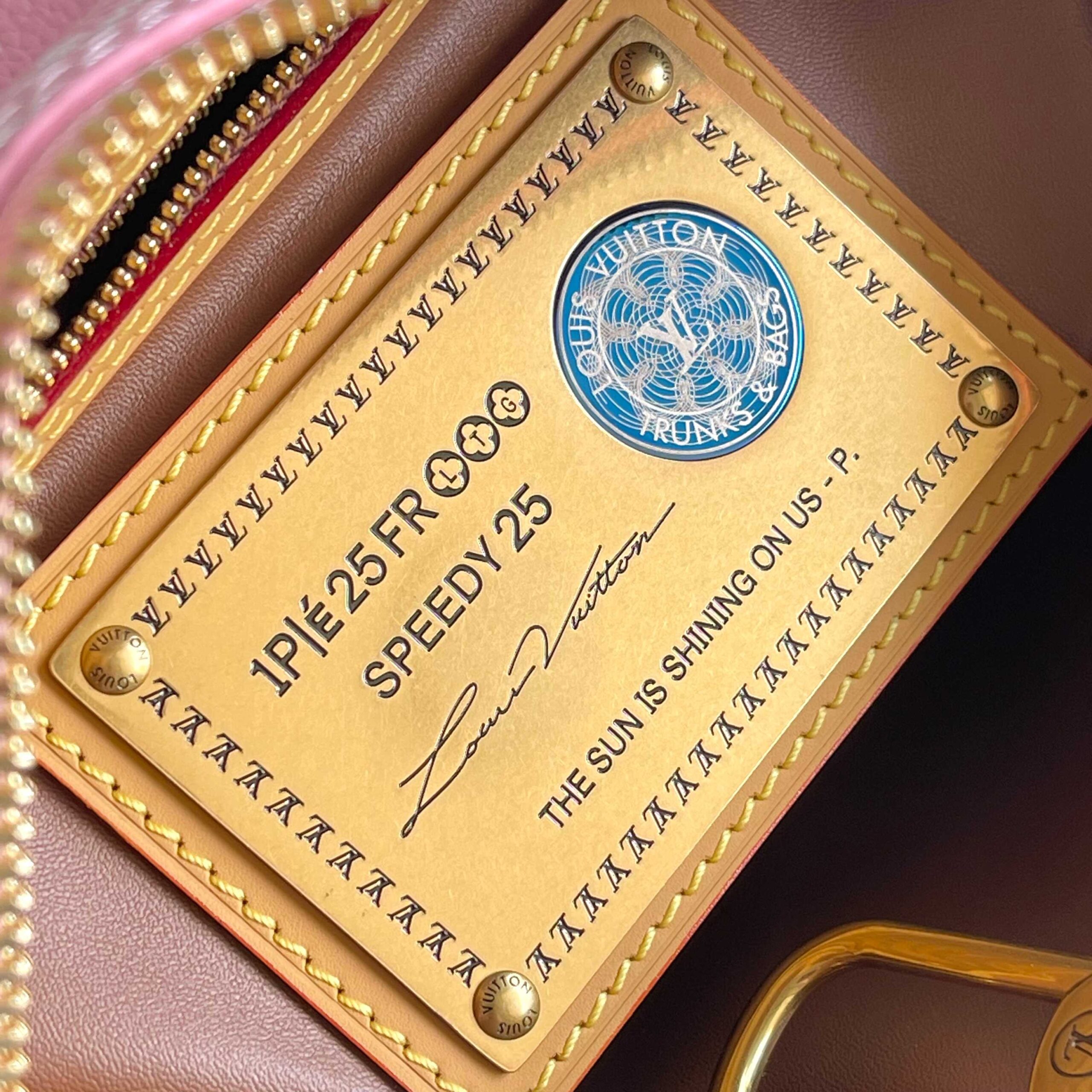 Speedy P9 Bandoulière 25 Monogram Leather Handbag - Image 8