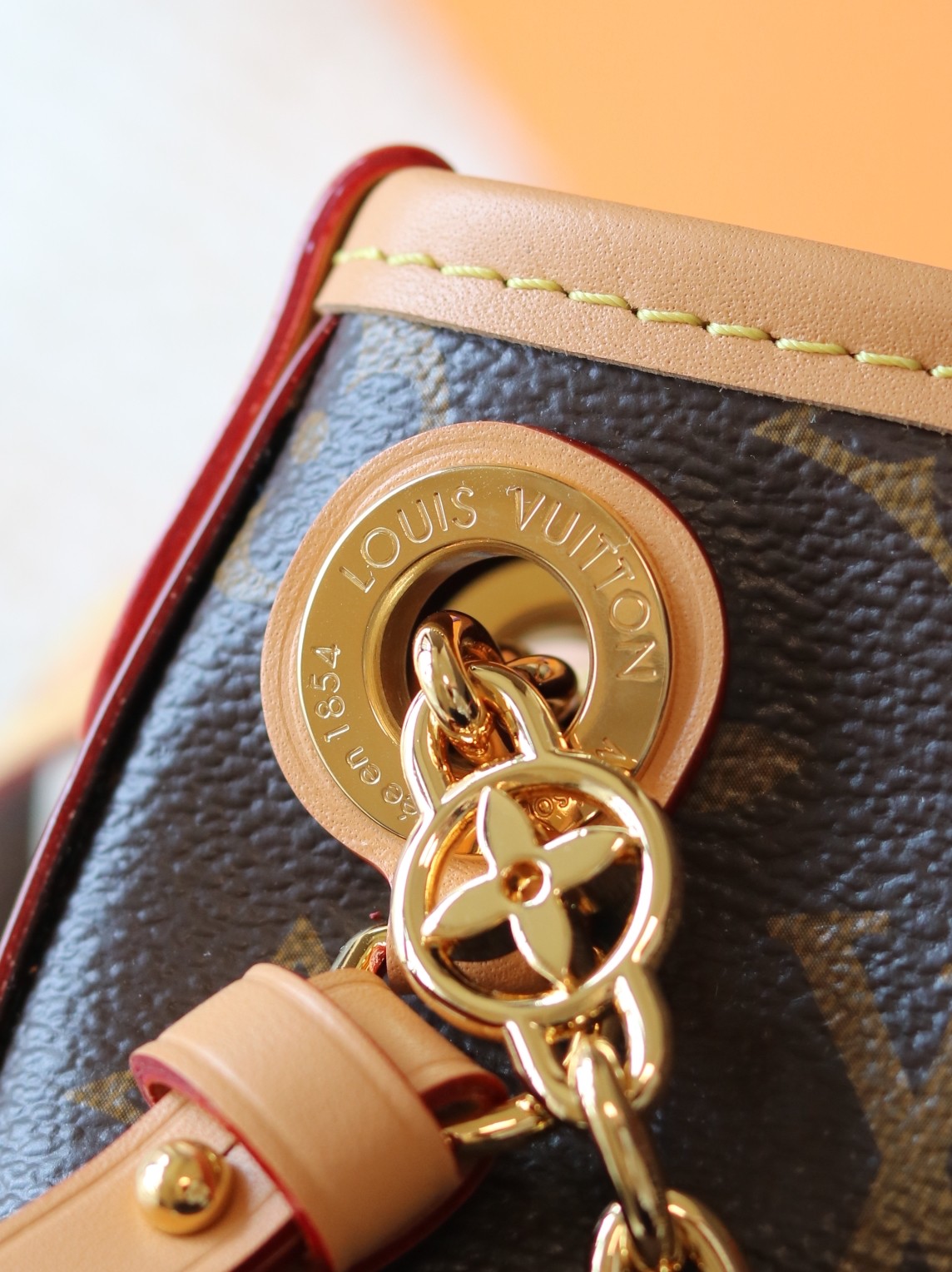 CarryAll BB Monogram Canvas Crossbody Bag - Image 8