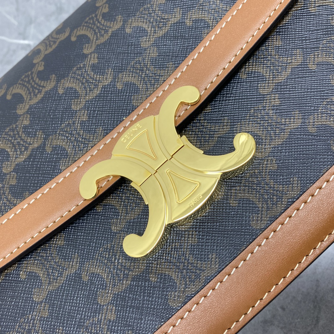 Celine Triomphe Limited-Edition Crossbody Bag - Image 8