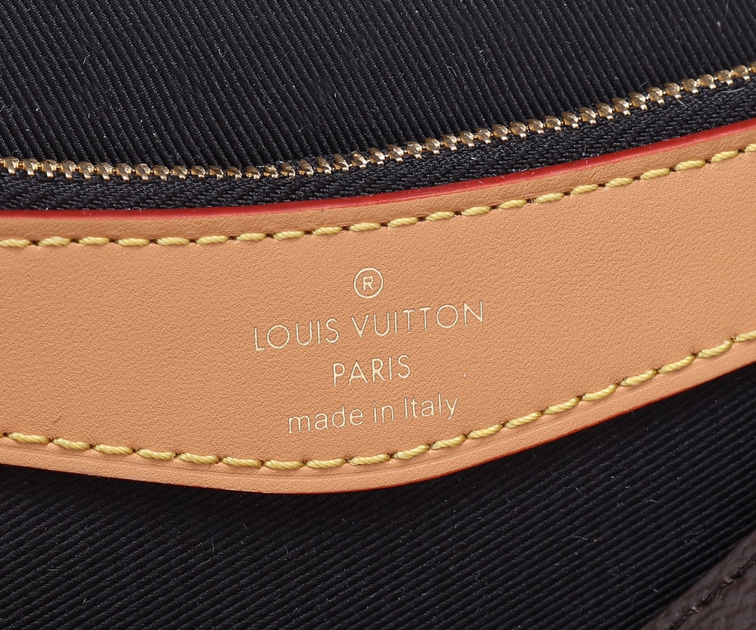 Louis Vuitton Diane Monogram Canvas Shoulder Bag - Image 9