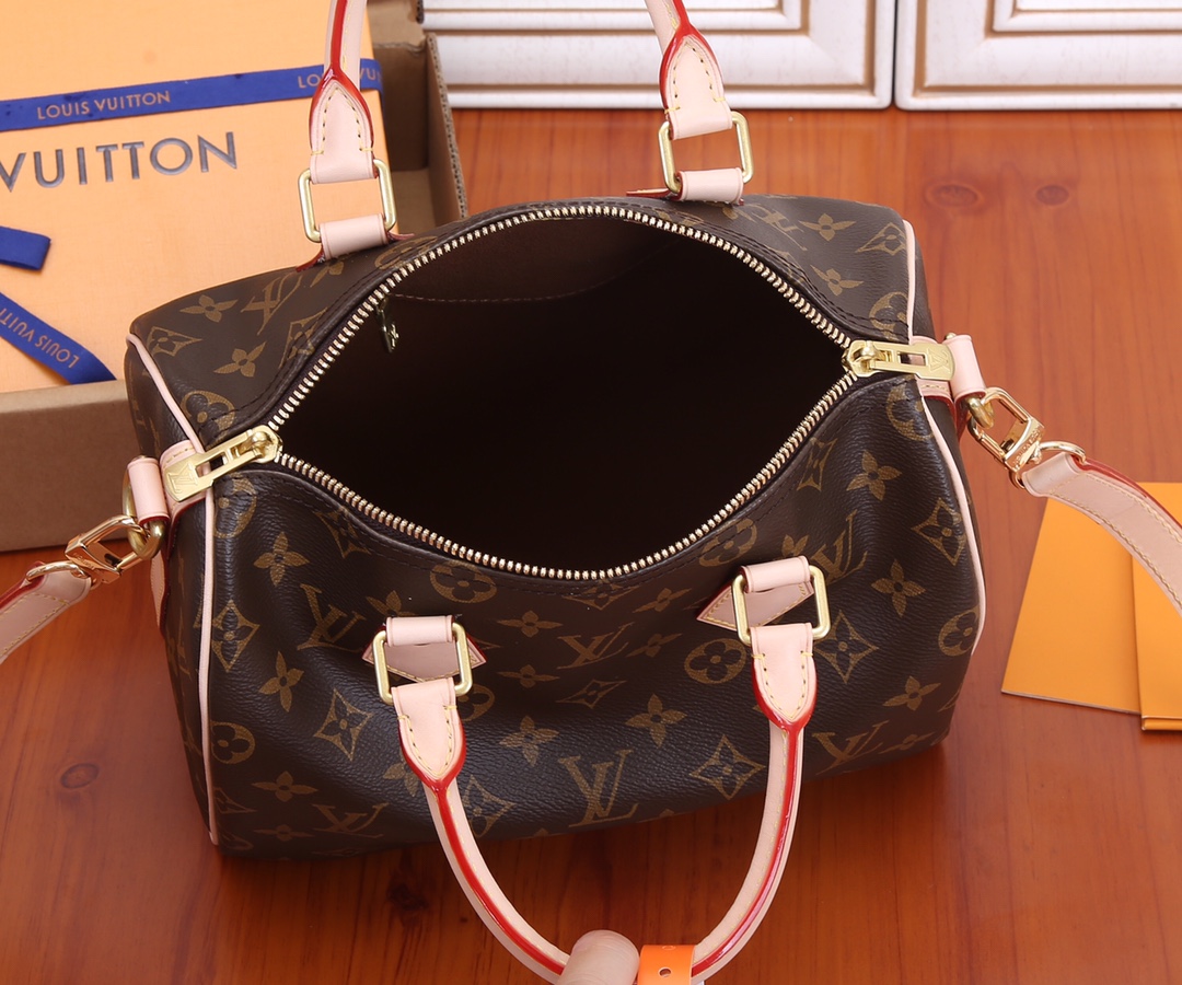 Louis Vuitton Speedy 25 Monogram Handbag - Image 9