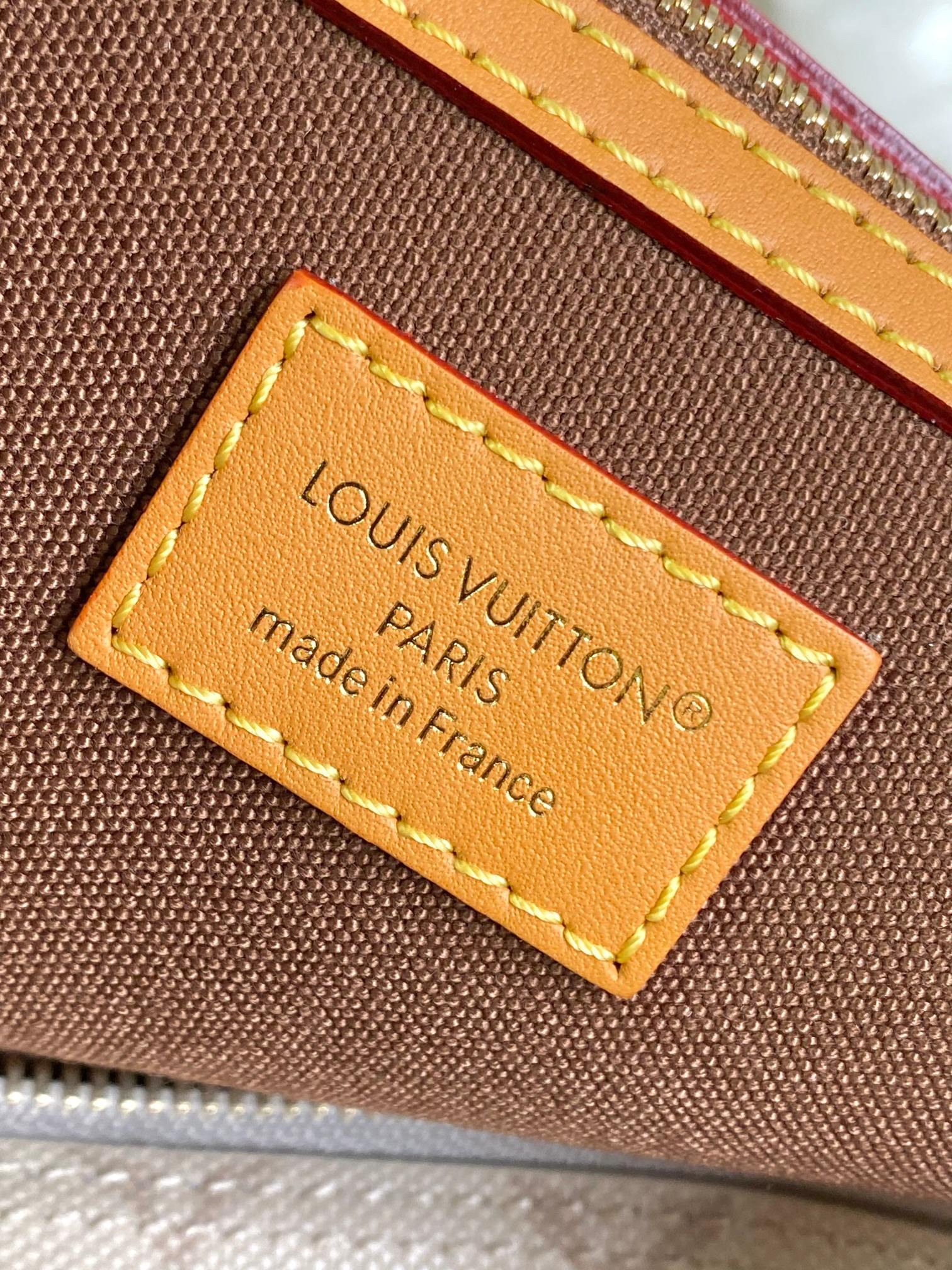 Louis Vuitton Métis Monogram Canvas Handbag - Image 9
