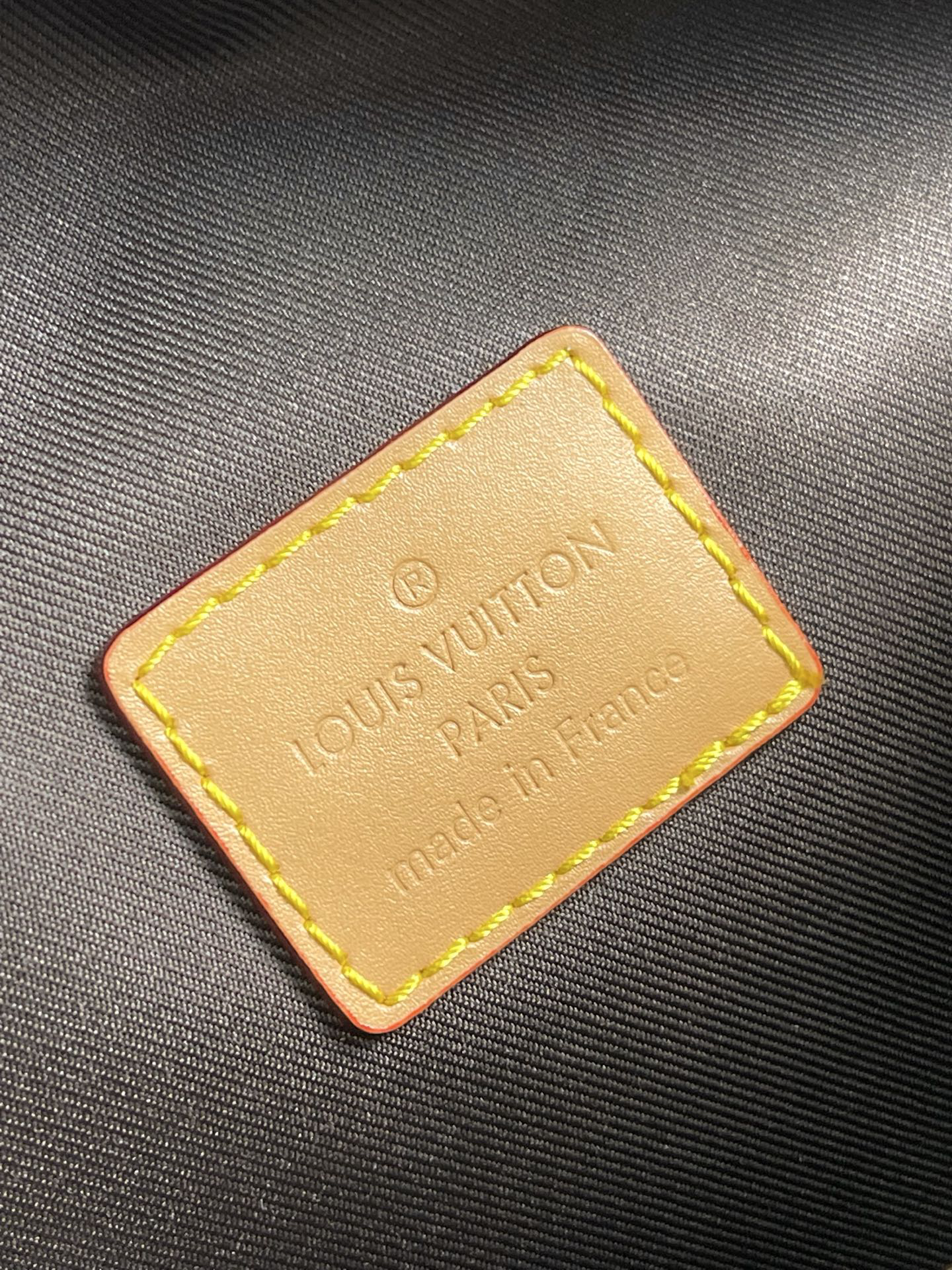 Louis Vuitton M11539 Rush Monogram Dust Belt Bag - Image 9