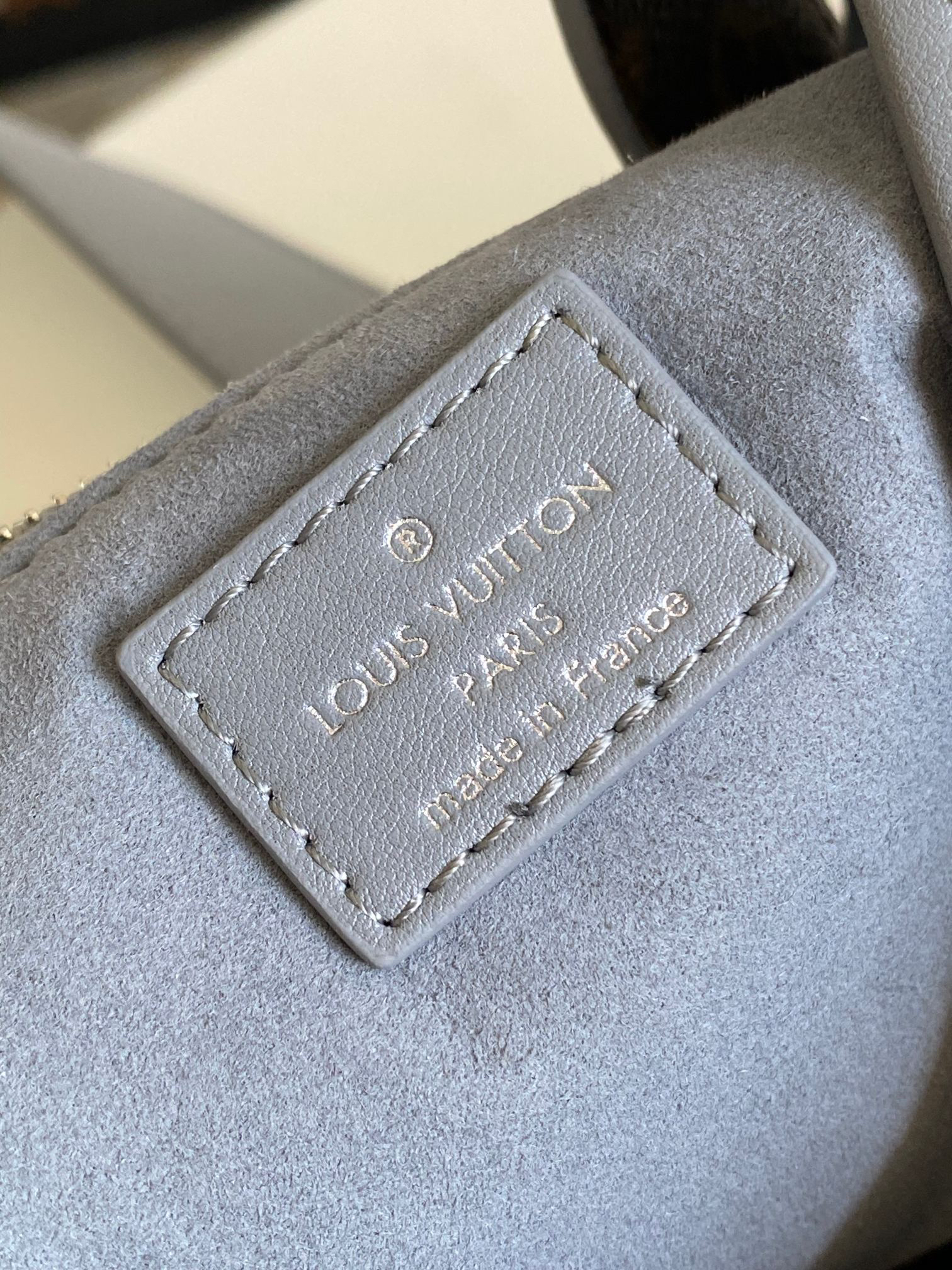 Louis Vuitton CarryAll Cargo Small Handbag in Gray Lambskin - Image 9