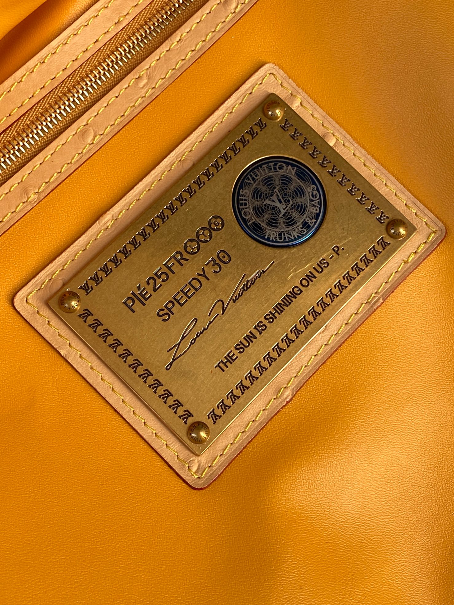 Speedy P9 Bandouliere 30 Monogram Leather Handbag - Image 9