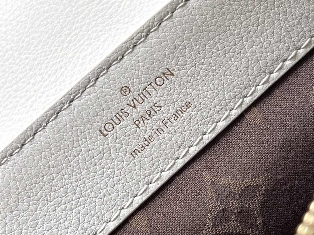 Louis Vuitton Dauphine Soft Medium Crossbody Bag, M25050, M25209, M25048 - Image 9