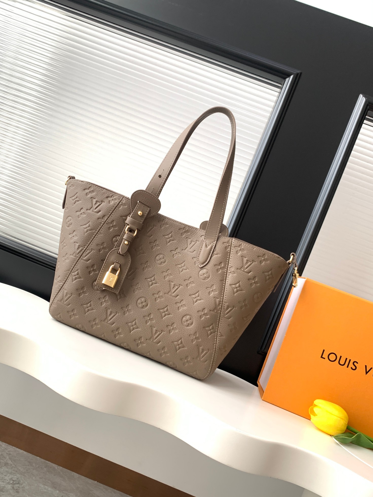 Louis Vuitton All In One Small Hobo Tote Bag M25890 - Image 9