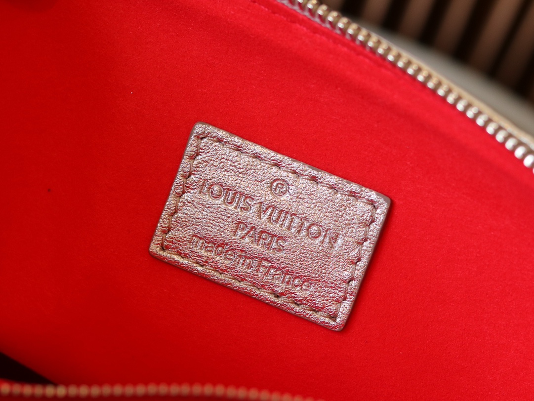 Louis Vuitton Coussin Small Shoulder Bag - Image 9