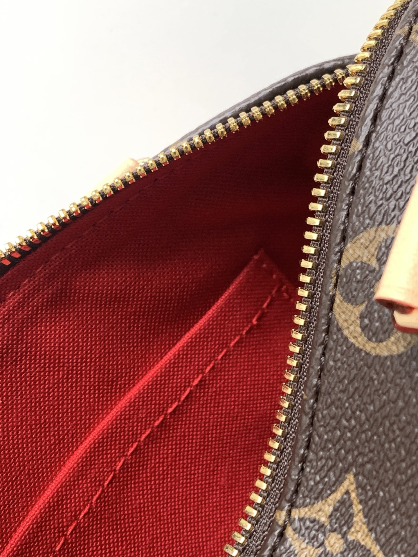 Speedy Bandoulière 20 Monogram Canvas Handbag - Image 9