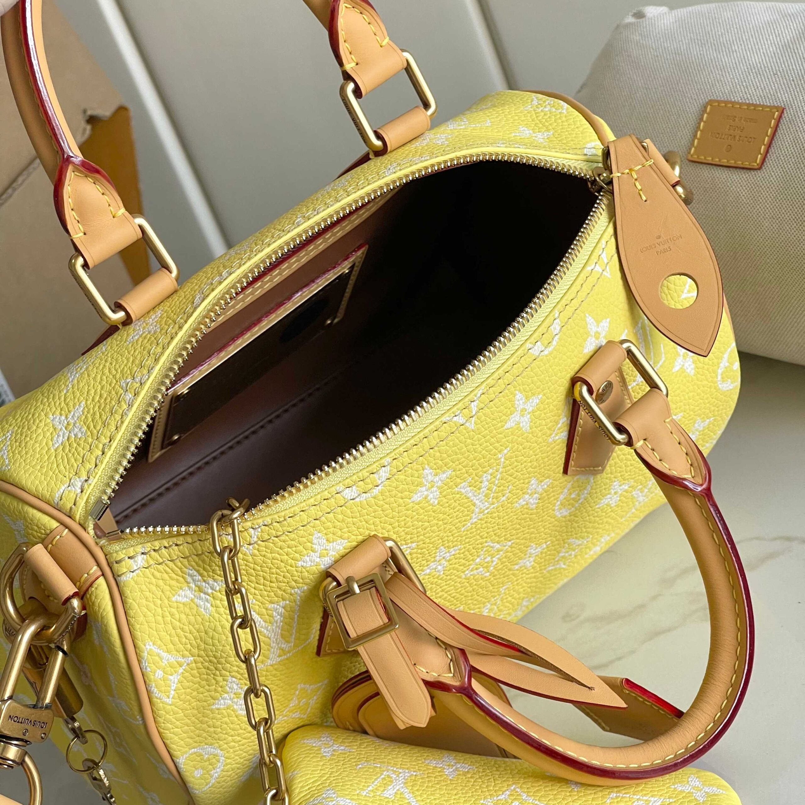 Speedy P9 Bandoulière 25 Monogram Leather Handbag - Image 9