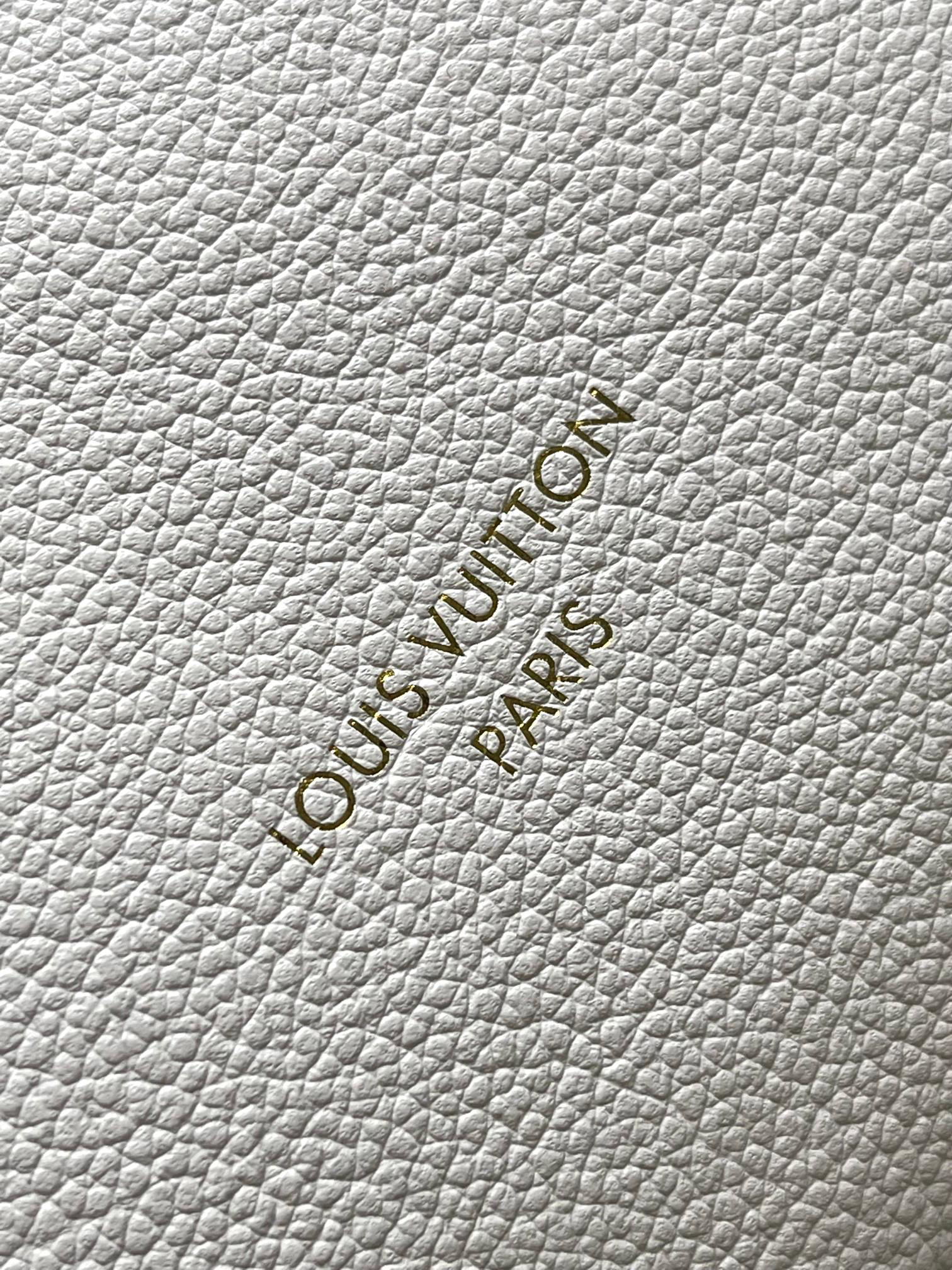 Louis Vuitton Express Small Handbag in Ivory White - Image 9
