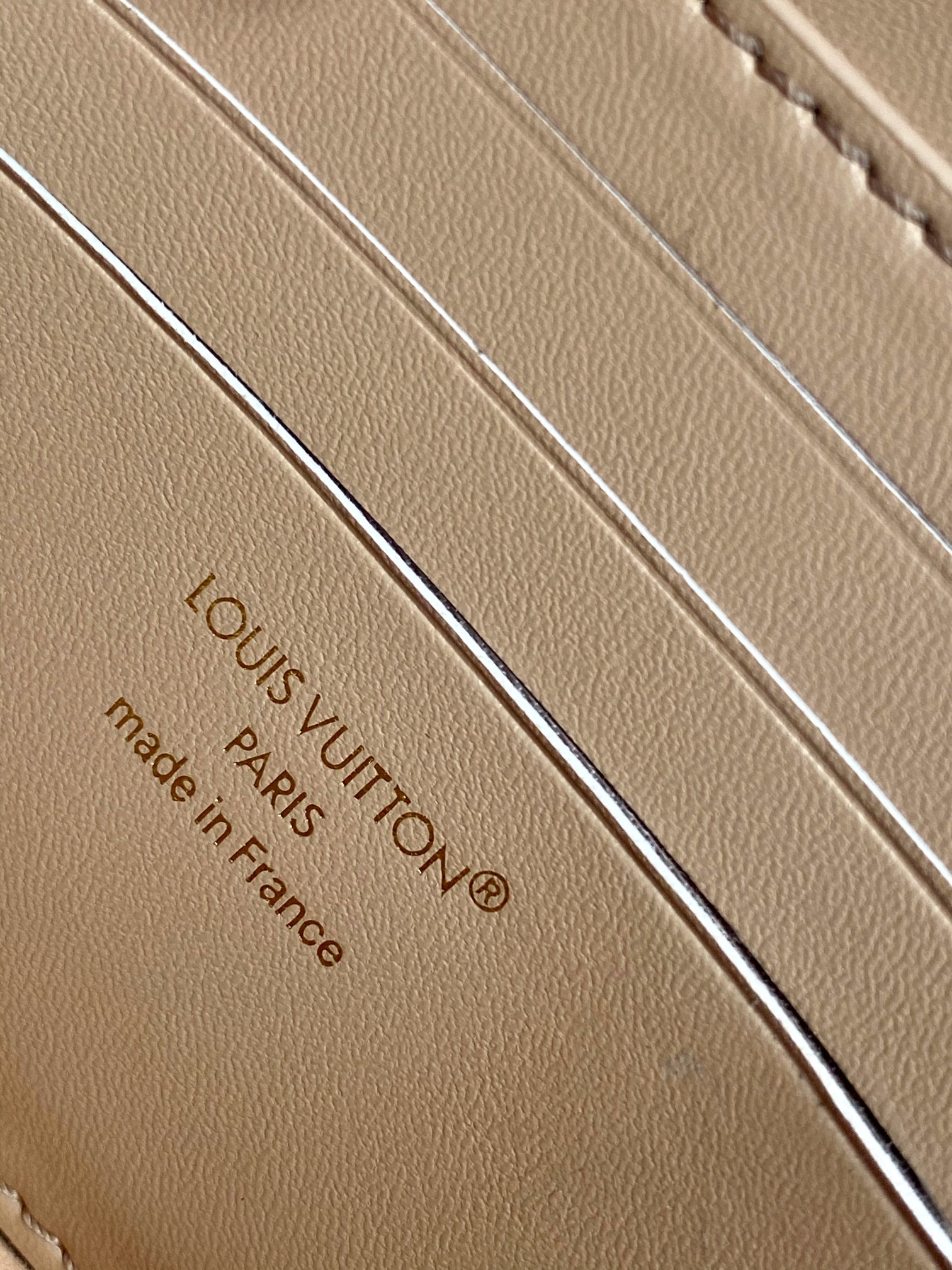 Louis Vuitton LV Bloom Wallet On Chain Crossbody Bag - Image 9