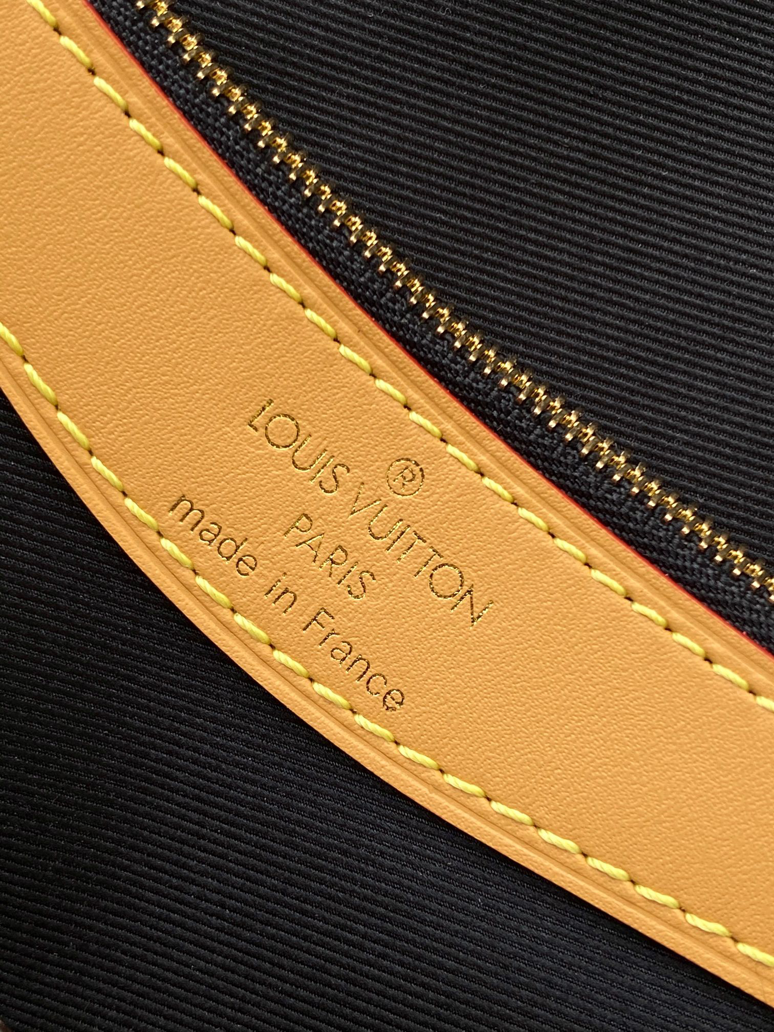 Louis Vuitton Diane Monogram Canvas Shoulder Bag M45985 - Image 9