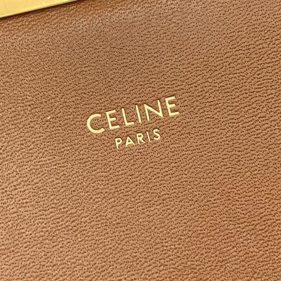 Celine Triomphe Limited-Edition Crossbody Bag - Image 9
