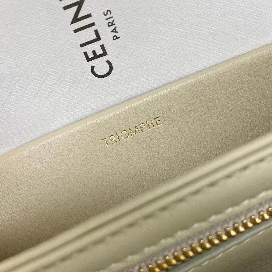 Triome Classic Calfskin Crossbody Bag in Light Beige - Image 9