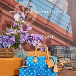 Louis Vuitton Speedy P9 Bandouliere 25