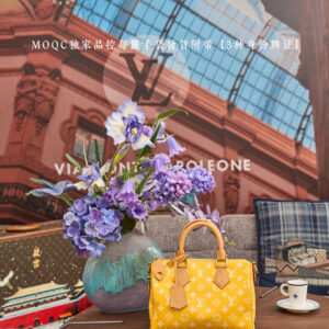 Louis Vuitton Speedy P9 Bandouliere 25 Handbag