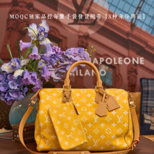 Louis Vuitton Speedy P9 Bandouliere 30 Handbag