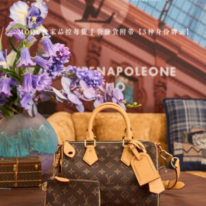 Louis Vuitton Speedy P9 Bandouliere 25 Handbag