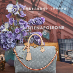 Louis Vuitton Speedy 30 Handbag