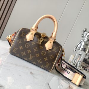 Louis Vuitton Speedy Bandoulière 20 Handbag