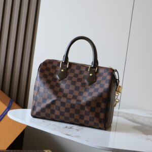 Louis Vuitton Speedy Handbag in Damier Canvas