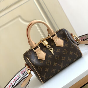 Louis Vuitton Speedy 20 Handbag in Damier Ebene Canvas
