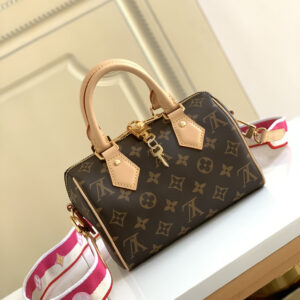 Louis Vuitton Speedy 20 Handbag in Damier Ebene Canvas