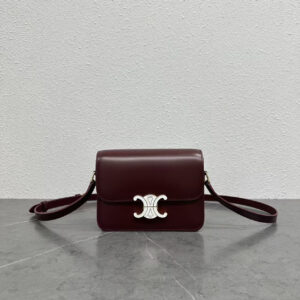 CELINE Teen Triomphe Crossbody Bag with Gold-Finish Lock