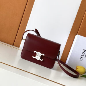 Celine Box Crossbody Bag in Leather