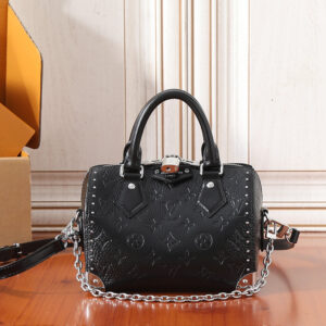 Louis Vuitton Speedy Trunk 20 Handbag