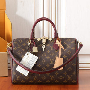 Louis Vuitton Speedy Soft 30 Monogram Anniversary Handbag