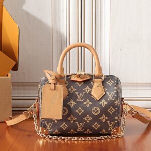 Louis Vuitton Speedy Trunk 20 Handbag in Monogram Origine Ebene Canvas