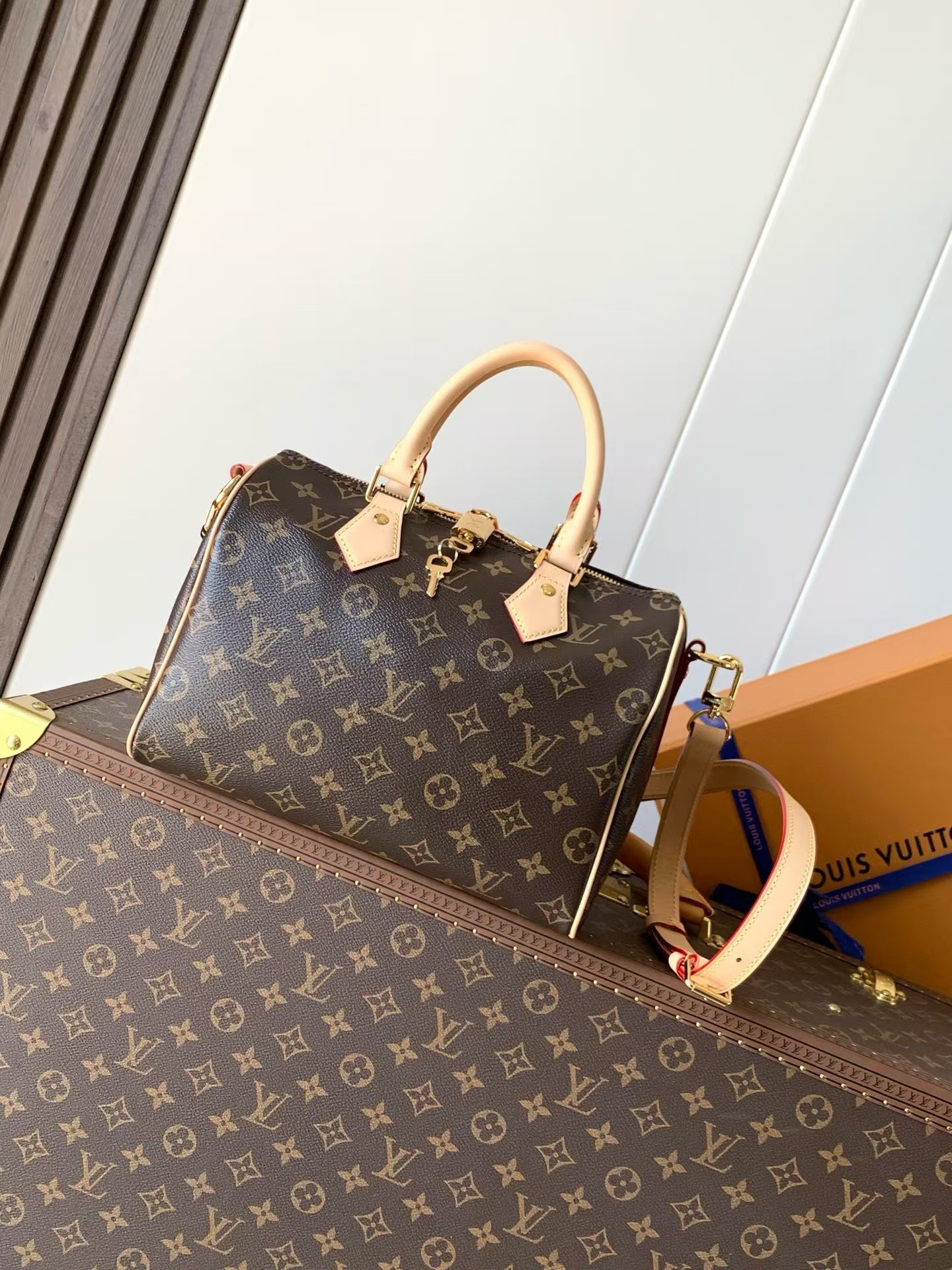 Louis Vuitton Speedy Bandouliere 25 Monogram Canvas Crossbody Bag