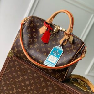 Louis Vuitton Speedy Soft 30 Handbag