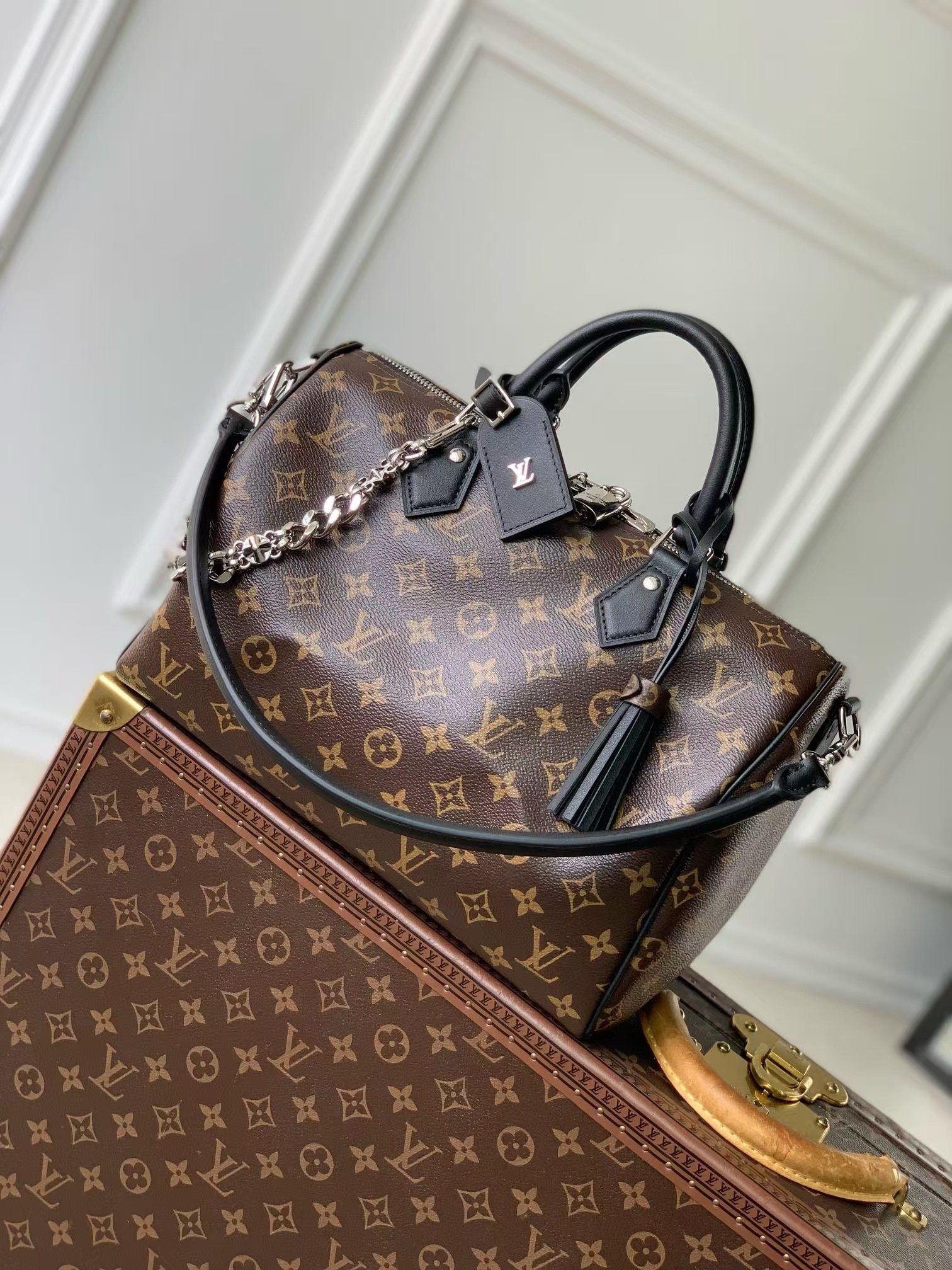 Louis Vuitton Speedy Soft 30 Dark Handbag