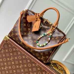 Louis Vuitton Speedy Soft 30 Handbag in Dark Monogram