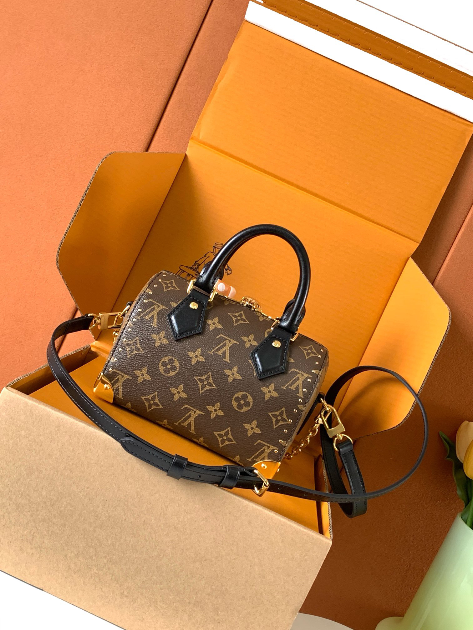 Louis Vuitton Speedy Trunk Crossbody Bag