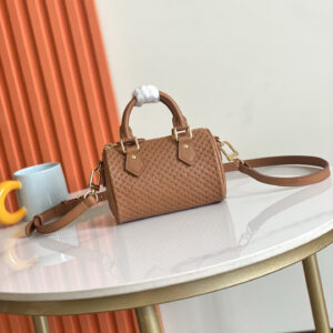 Louis Vuitton Nano Speedy Handbag – Calf Leather with Gold-Tone Hardware