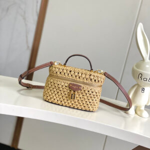 Louis Vuitton Vanity Chain Pouch